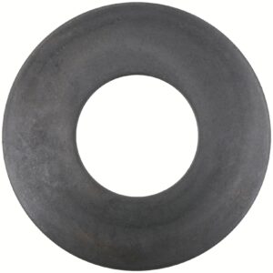 Dana 018199 Thrust Washer